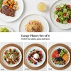 image:imageDOWAN 88 Salad Plates Set of 6  Round Embossed Design Light GrayWhite